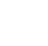 Pearl Car Care